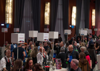 Diffusione della Cultura del Vino: I Migliori Vini Italiani 2024