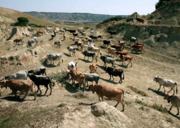 Nessun posto al mondo_Vanina Lappa