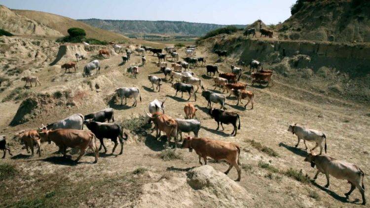 Nessun posto al mondo_Vanina Lappa