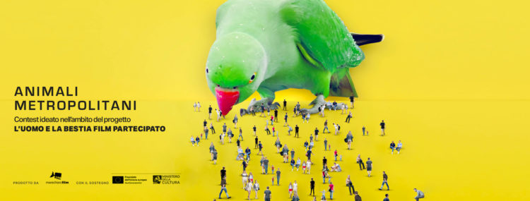 Animali metropolitani Contest