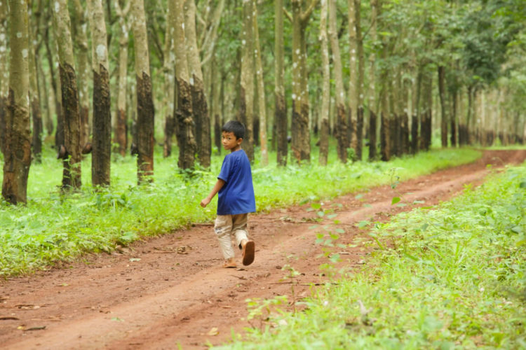 Vakhim e il coraggio delle madri