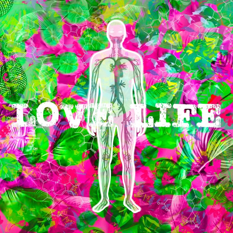 L’Arte come Farmaco per la Salute, a Milano la videoarte che cura