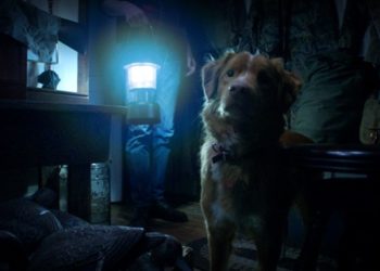 Good Boy di Ben Leonberg