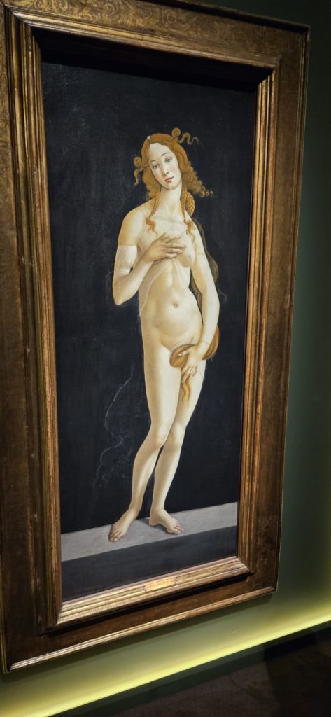 Venere di Botticelli